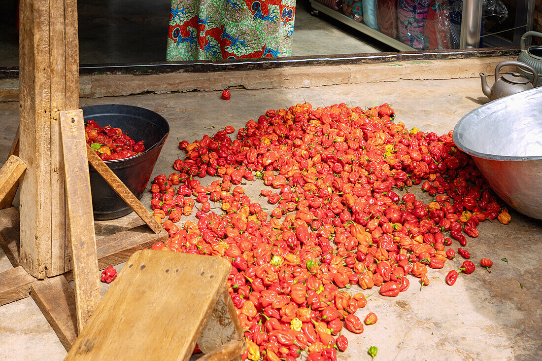 Habanero Chilis vor dem Aussortieren auf dem Markt in Tamale in der Northern Region im Norden von Ghana in Westafrika