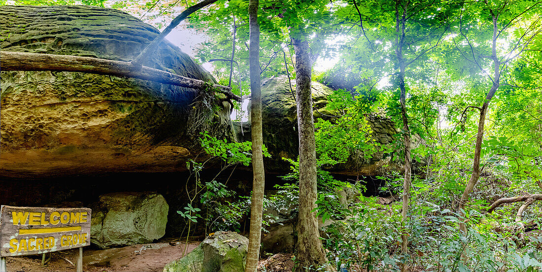 Sacred Grove von Tanoboase in der historischen Brong Ahafo Region in der Bono East Region im Zentrum von Ghana in Westafrika