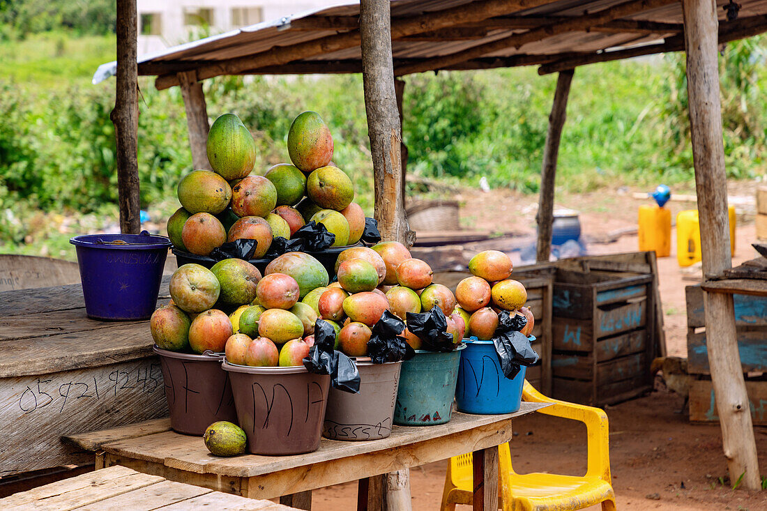 Verkaufsstände mit Mangofrüchten bei Techiman in der Bono-East-Region im Osten von Ghana in Westafrika