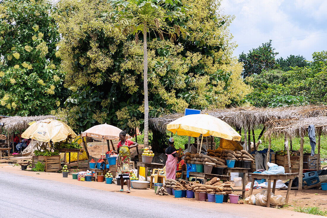 Verkaufsstände mit Yamswurzeln und Kochbananen unter blühenden Teakholzbäumen bei Techiman in der Bono-East-Region im Osten von Ghana in Westafrika