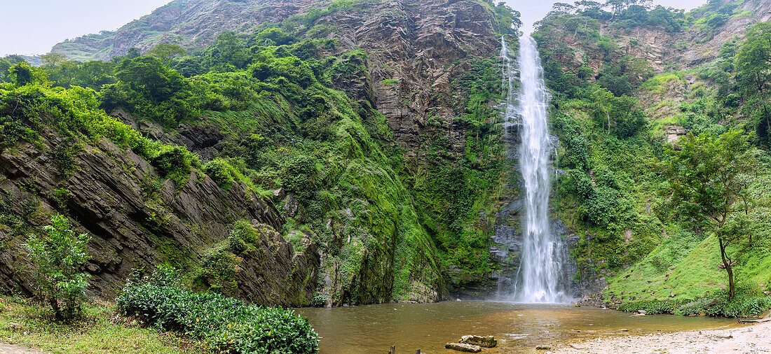 Wli-Wasserfall in der Regenwaldlandschaft im Agumatsa Nature Reserve bei Hohoe in der Volta-Region im Osten von Ghana in Westafrika
