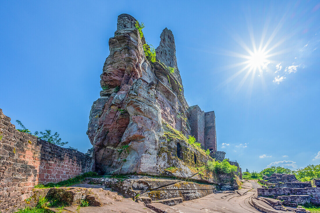 Fleckenstein Castle, Lembach, Northern Vosges, Bas-Rhin, Alsace, Vosges, Grand Est, Alsace-Champagne-Ardenne-Lorraine, France