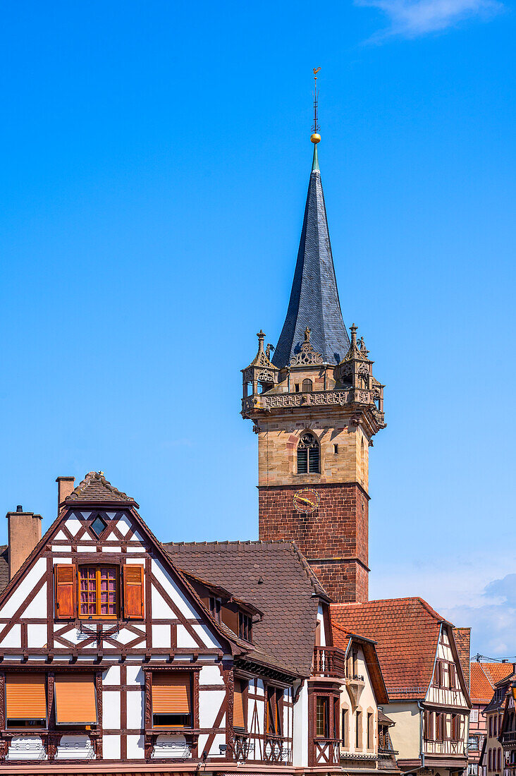Half-timbered houses with chapel tower in Obernai, Oberehnheim, Bas-Rhin, Route des Vins d'Alsace, Alsatian Wine Route, Grand Est, Alsace-Champagne-Ardenne-Lorraine, France