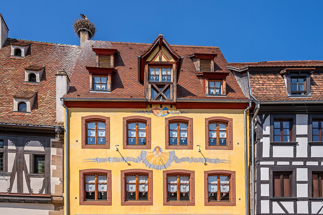 Half-timbered houses in Obernai, Oberehnheim, Bas-Rhin, Route des Vins d'Alsace, Alsace Wine Route, Grand Est, Alsace-Champagne-Ardenne-Lorraine, France