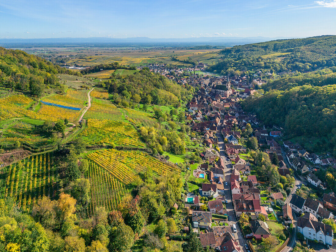 Blick auf Andlau, Bas-Rhin, Vogesen, Route des Vins d'Alsace, Elsässer Weinstraße, Grand Est, Frankreich