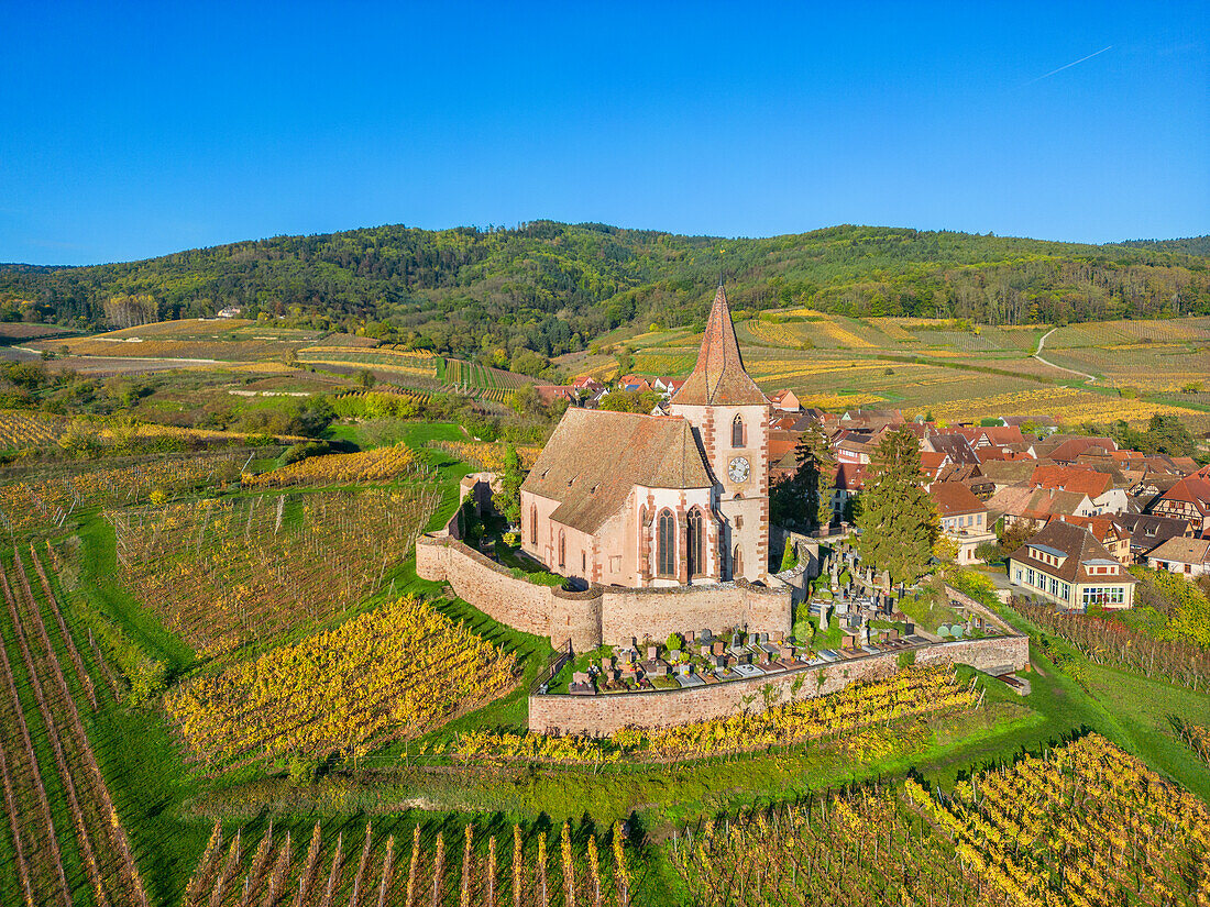Winzerdorf mit Wehrkirche St. Jacques, Hunawihr (Hunaweier),  Haut-Rhin, Route des Vins d'Alsace, Elsässer Weinstraße, Grand Est, Frankreich