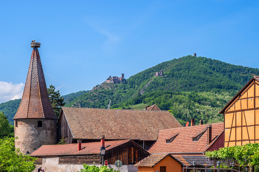 View of Ribeauville with St. Ulrich Castle, Château de St. Ulrich and Girsberg Castle, Rappoltsweiler, Haut-Rhin, Route des Vins d'Alsace, Alsace Wine Route, Grand Est, Alsace-Champagne-Ardenne-Lorraine, France