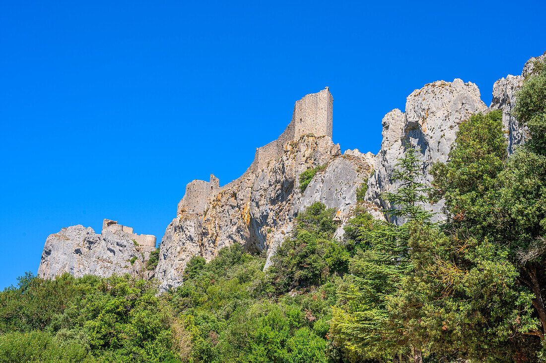 Katharer Burg Peyrepertuse, Duilhac-sous-Peyrepertuse, bei Narbonne, Aude, Languedoc-Roussillon, Occitanie, Languedoc-Roussillon-Midi-Pyrénées, Frankreich