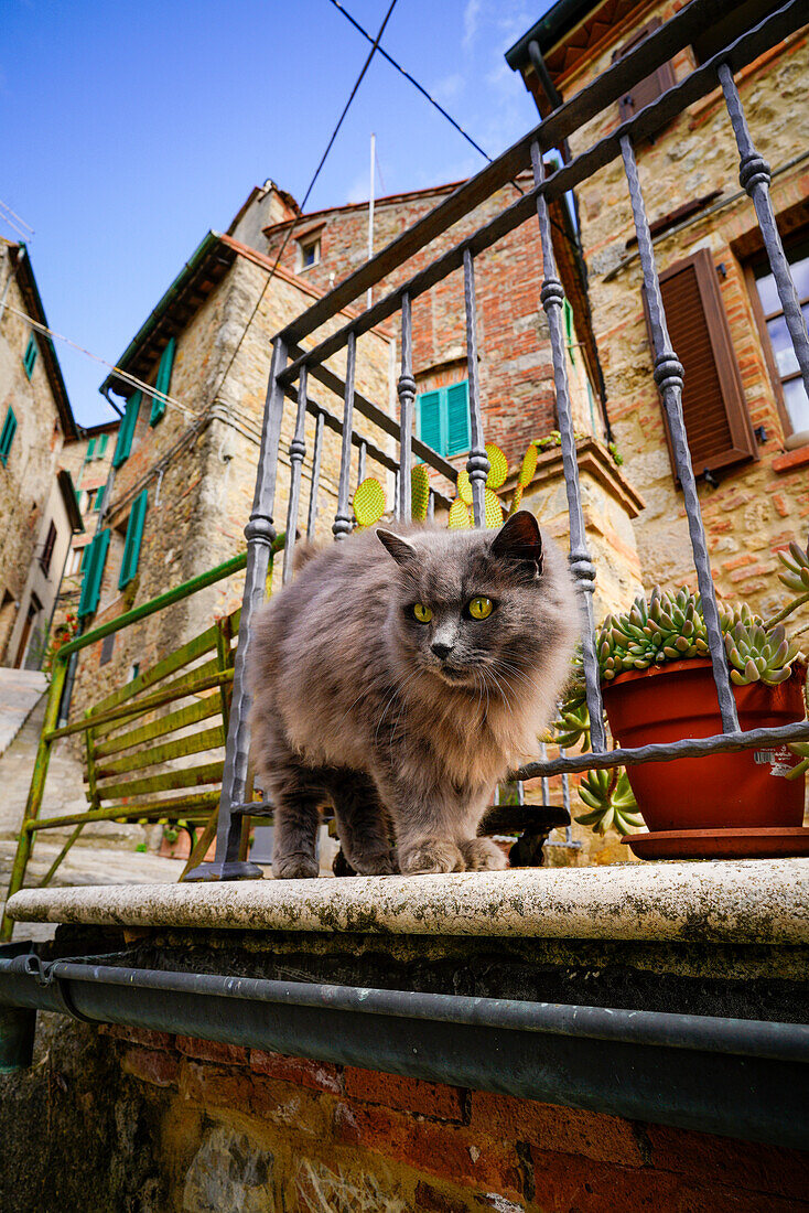 In the back streets of Chiusdino, Province of Siena, Tuscany, Italy