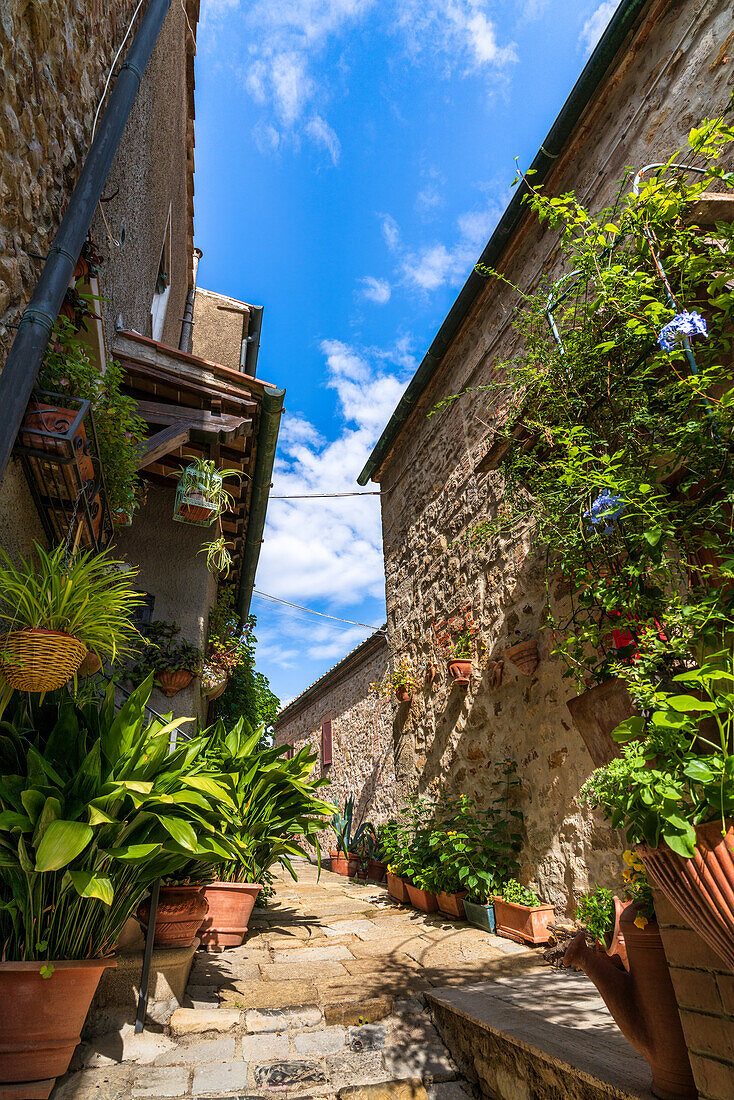 In den Gassen von Chiusdino, Provinz Siena, Toskana, Italien    