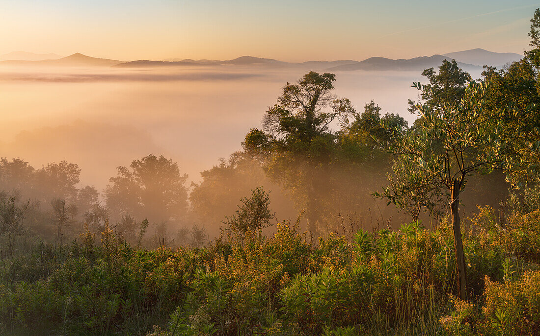 Morgens in den Hügeln bei Chiusdino, Provinz Siena, Toskana, Italien    