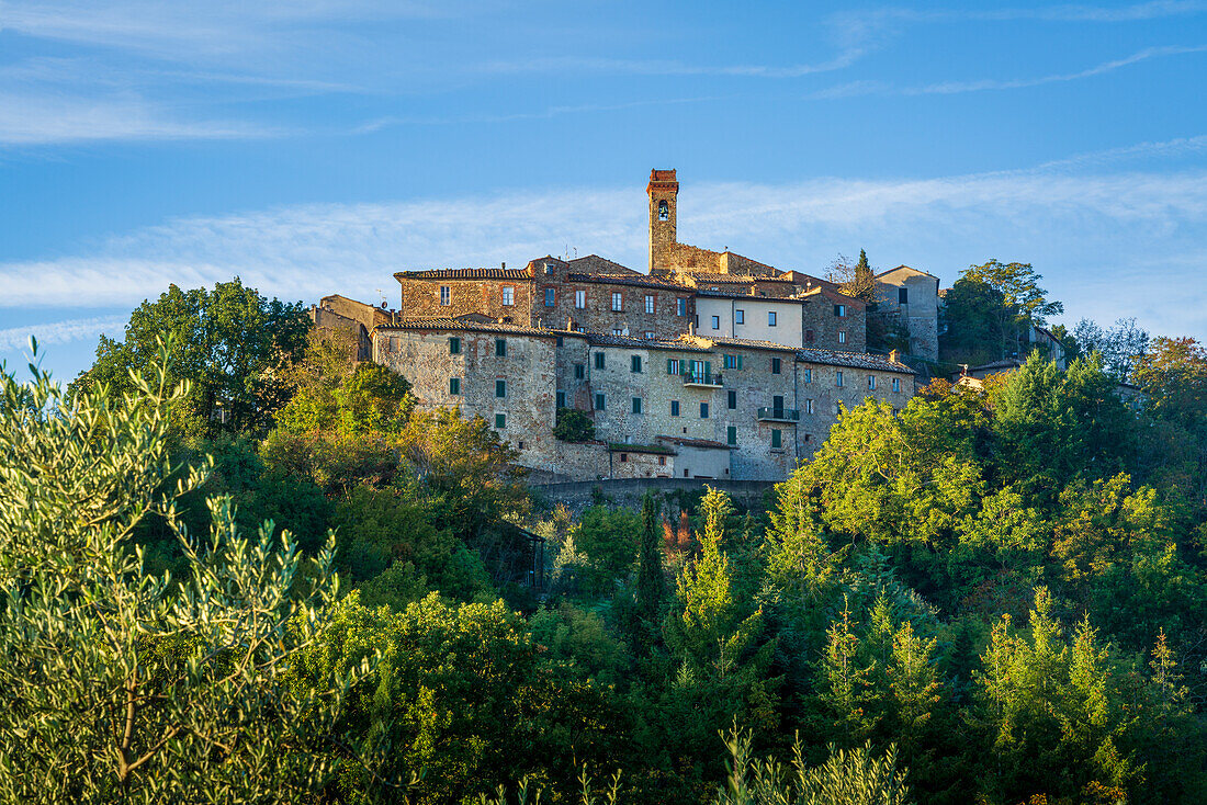 Blick auf Chiusdino, Provinz Siena, Toskana, Italien    