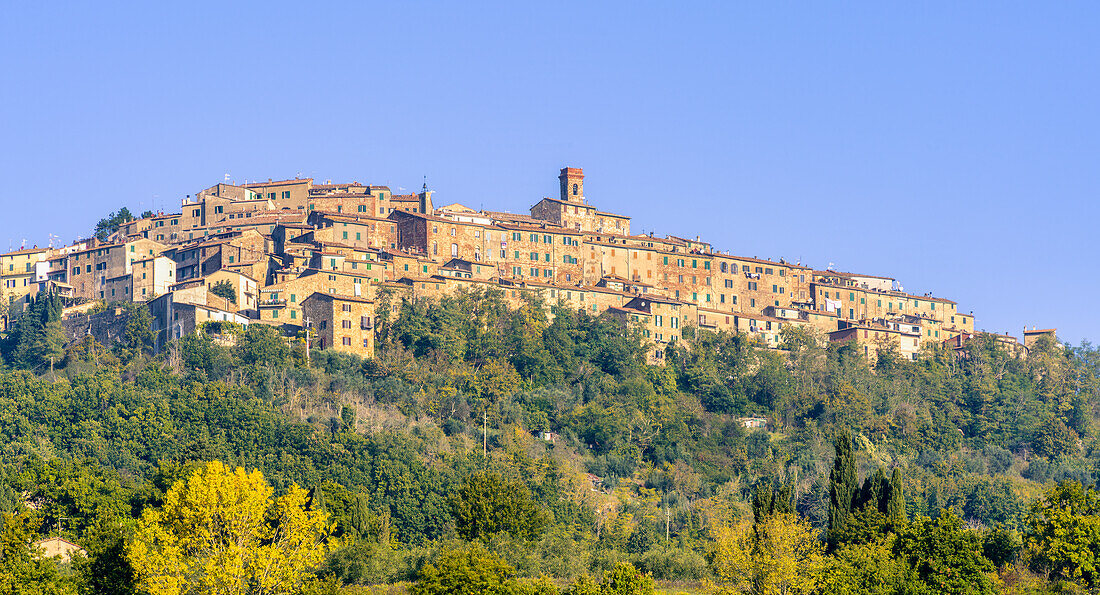 Blick auf Chiusdino, Provinz Siena, Toskana, Italien