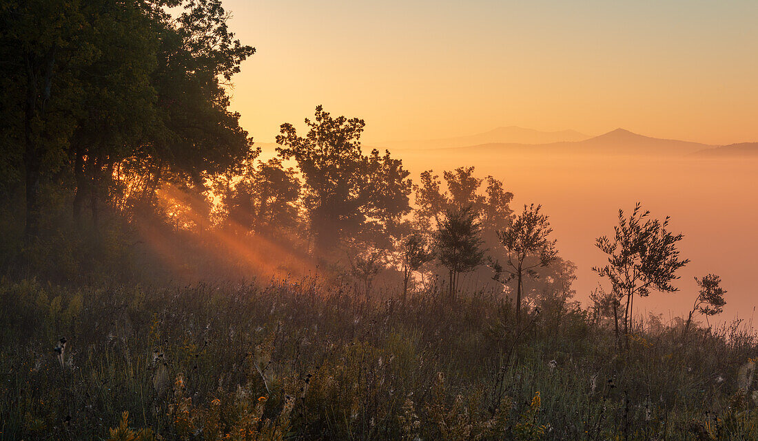 Morgens in den Hügeln bei Chiusdino, Provinz Siena, Toskana, Italien 