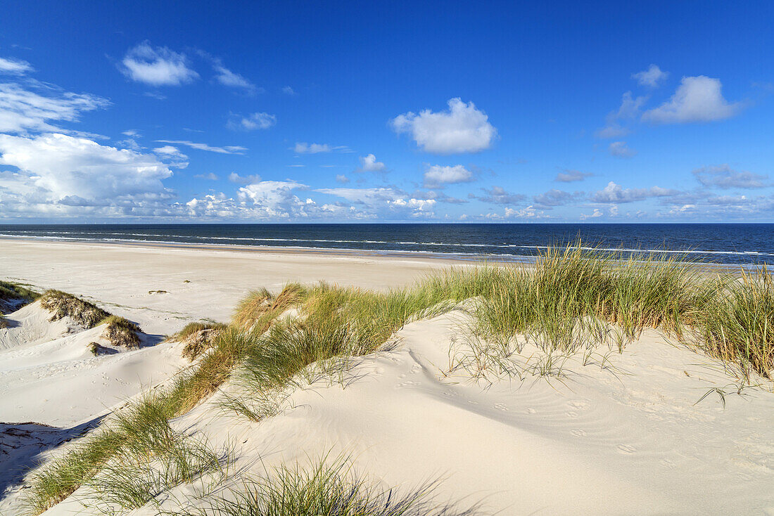 Beach at Børsmose, Southern Denmark, Denmark