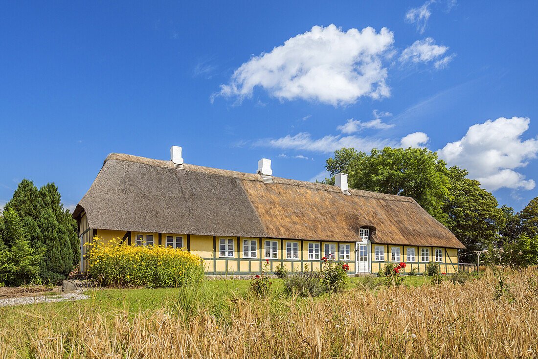 Historisches Reetdachhaus in Viby bei Kerteminde, Insel Fünen, Syddanmark, Dänemark, Europa