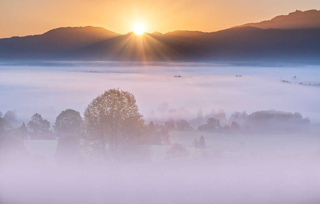 Sonnenaufgang über dem nebligen Kochelmoos im September, Sindelsdorf, Großweil, Bayern, Deutschland