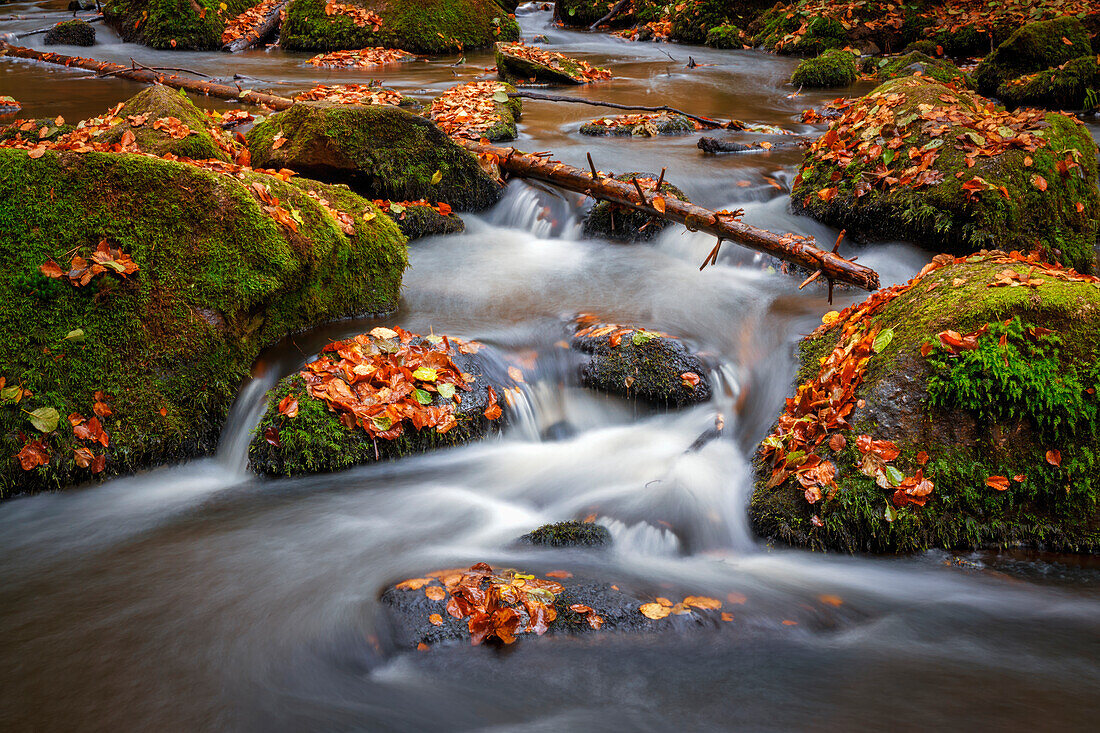 Autumn in the Höllbachtal, Rettenbach, Upper Palatinate, Bavarian Forest, Bavaria, Germany, Europe