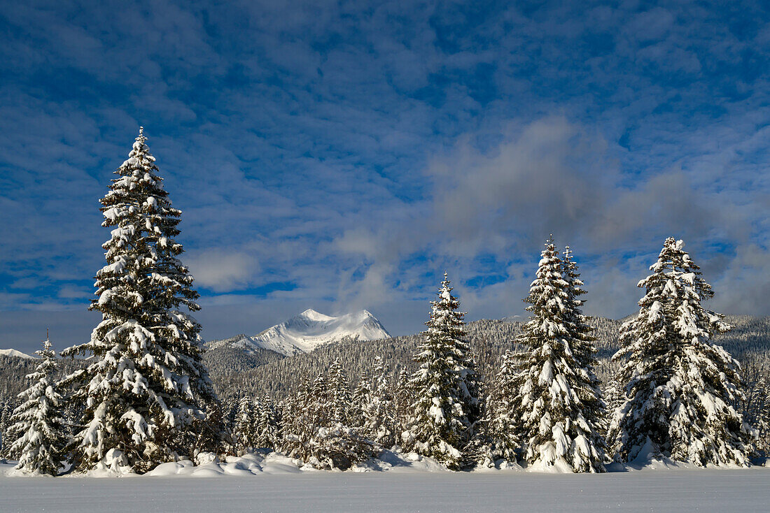 Winter in the mountains, Bavaria, Germany.