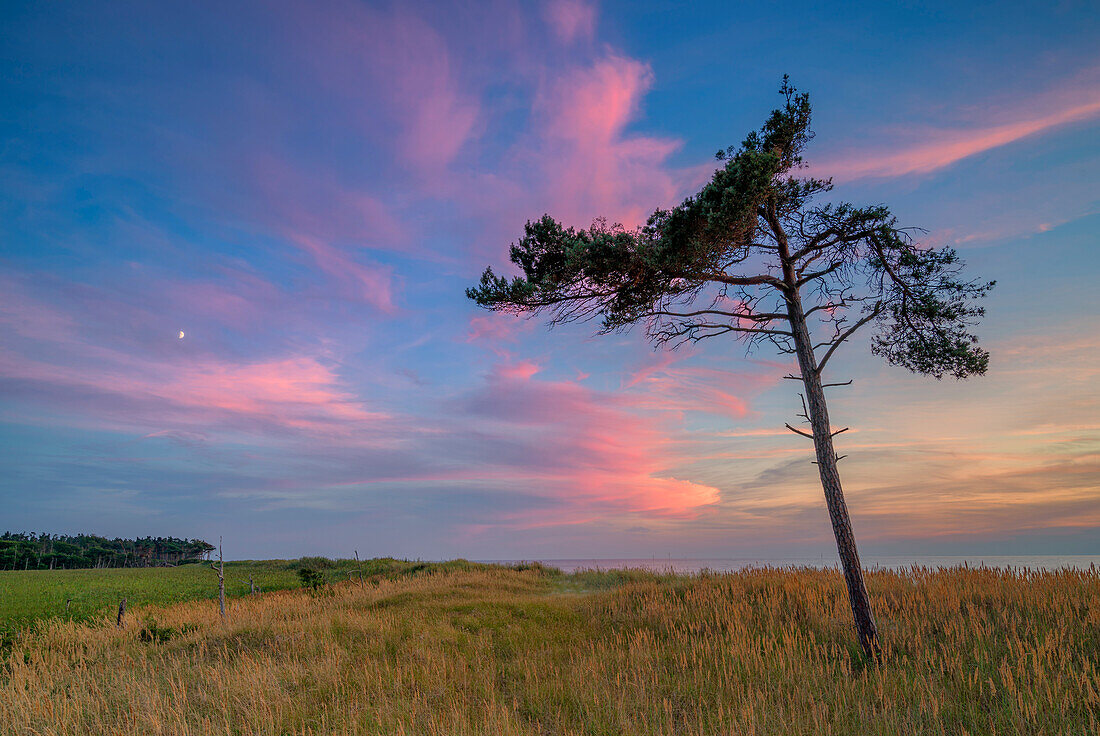 Sommerabend am Weststrand Darß, Mecklenburg-Vorpommern, Deutschland