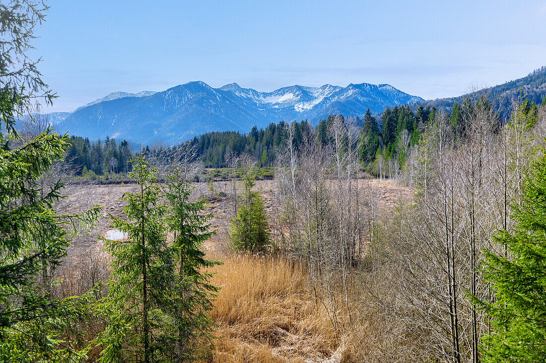 Mountain panorama of Auer Schneid, Kleinmiesing, Hichmiesing, Heissenplatte, Aiplspitz, Benzingspitz, Jägerkamp, Nagelspitz (from left to right) in front of Filzmoos near Faistenau near Fischbachau in Upper Bavaria, Germany