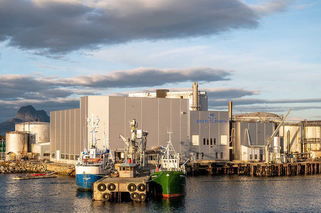 Blick auf die Heringsölfabrik und Schiffe im Vordergrund, Bodö, Bodø, Nordland, Norwegen, Europa