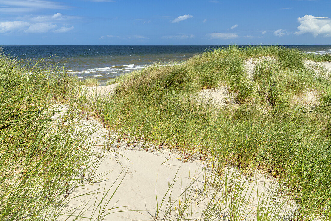 View over the dunes to the North Sea, Borkum Island, Lower Saxony, Germany