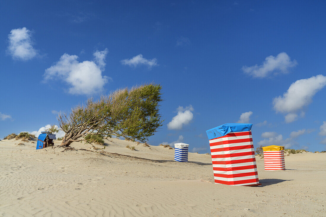 Strandkörbe und Strandzelte am Strand, Insel Borkum, Niedersachsen, Deutschland