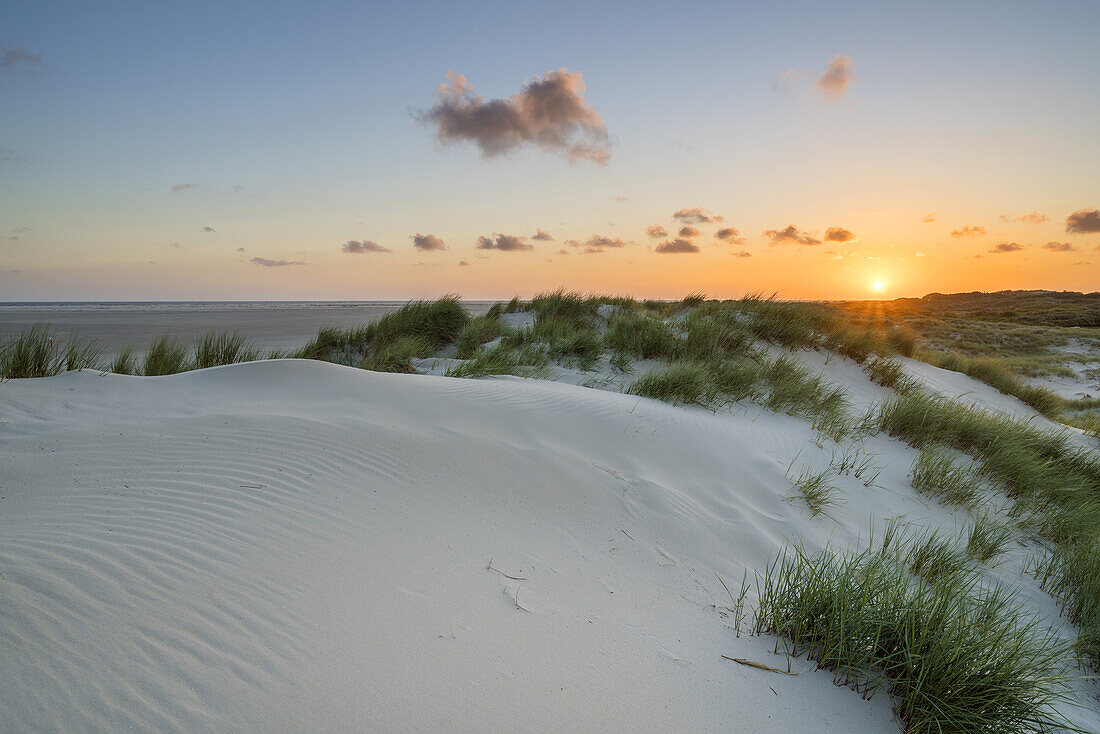 Sonnenaufgang über den Dünen am Strand, Insel Borkum, Niedersachsen, Deutschland