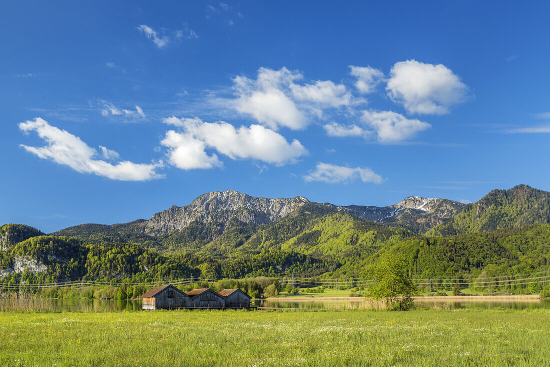 Blick auf den Herzogstand und Heimgarten im Frühling, Schlehdorf, Oberbayern, Bayern, Deutschland