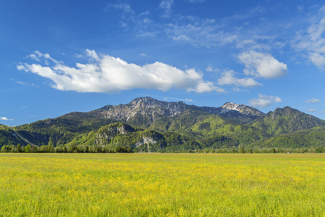 View of the Herzogstand and Heimgarten, Schlehdorf, Upper Bavaria, Bavaria, Germany