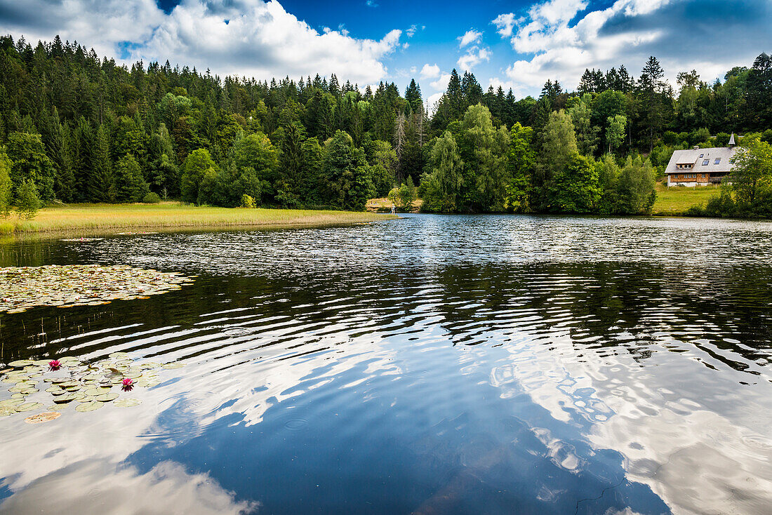 Klosterweiher, near St. Blasien, Black Forest, Baden-Württemberg, Germany