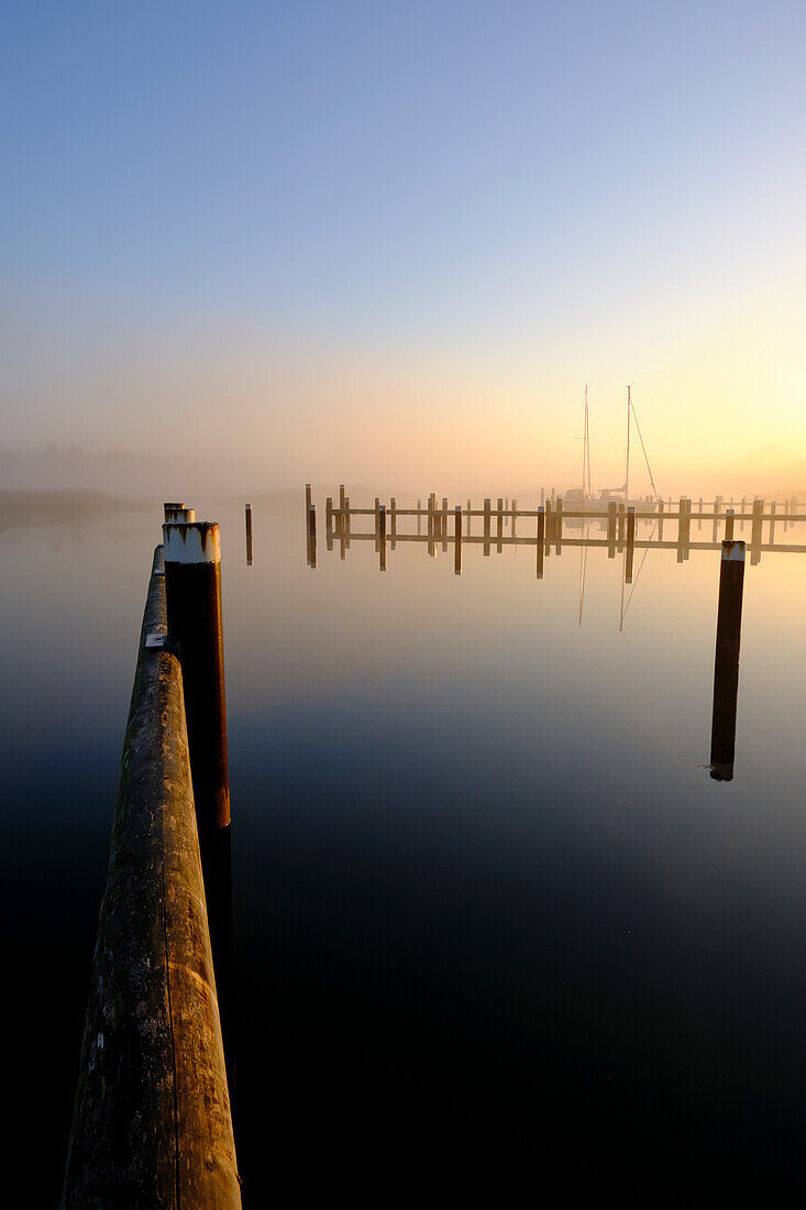 Sunrise in the fog over the port of Prerow on the Prerowstrom, Fischland-Darss-Zingst peninsula, Mecklenburg-West Pomerania, Germany
