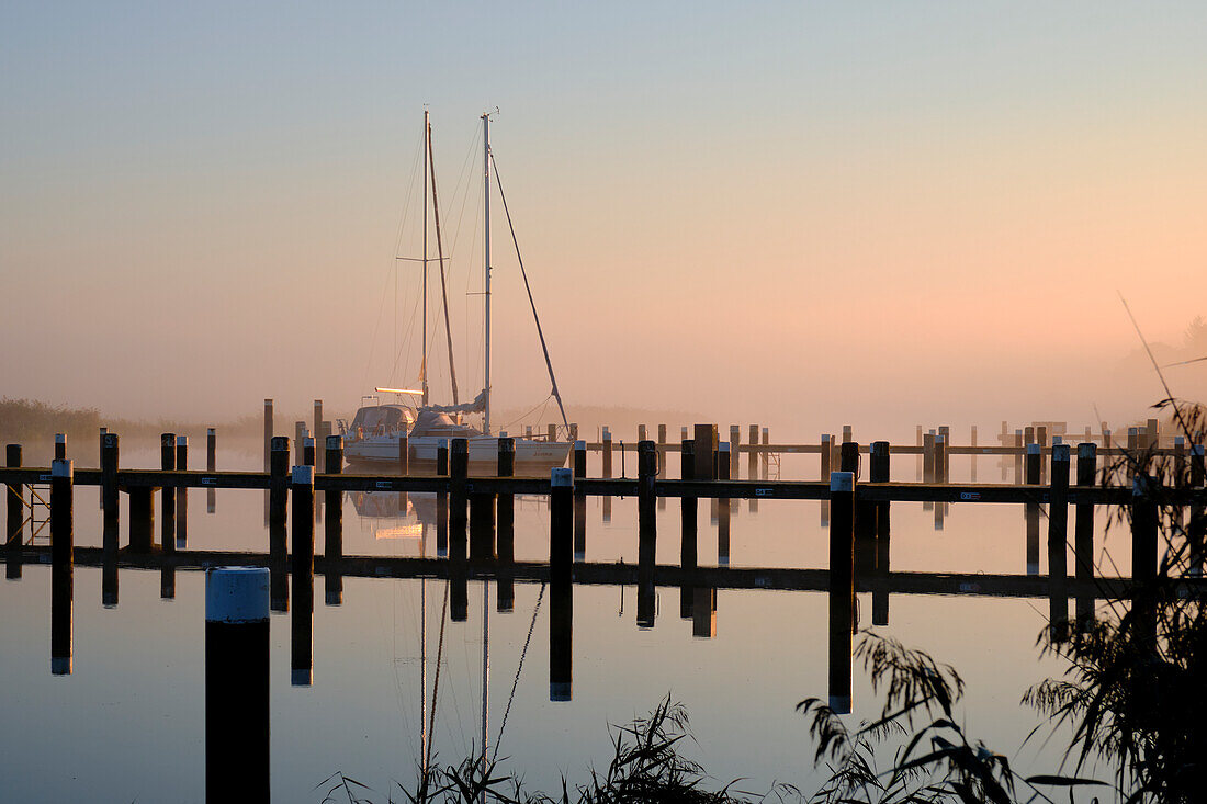 Sunrise in the fog over the port of Prerow on the Prerowstrom, Fischland-Darss-Zingst peninsula, Mecklenburg-West Pomerania, Germany