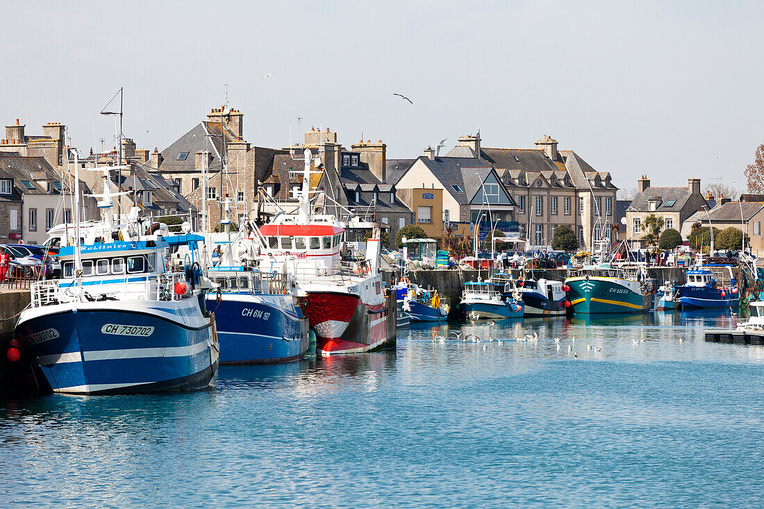 View of the small port of Saint Vaast la Hougue Normandy