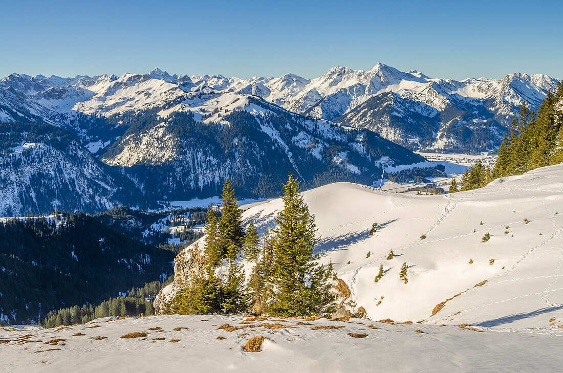 View from the Füssener Jöchl into the Tannheimer Tal, Allgäu, Tirol, Austria