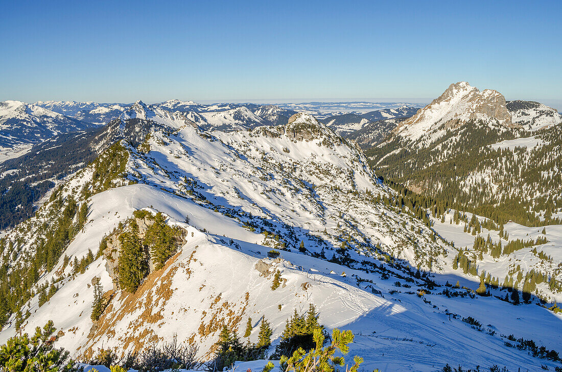 Lumberger ridge with Aggenstein, Tannheim mountains, Allgäu, Tyrol, Austria