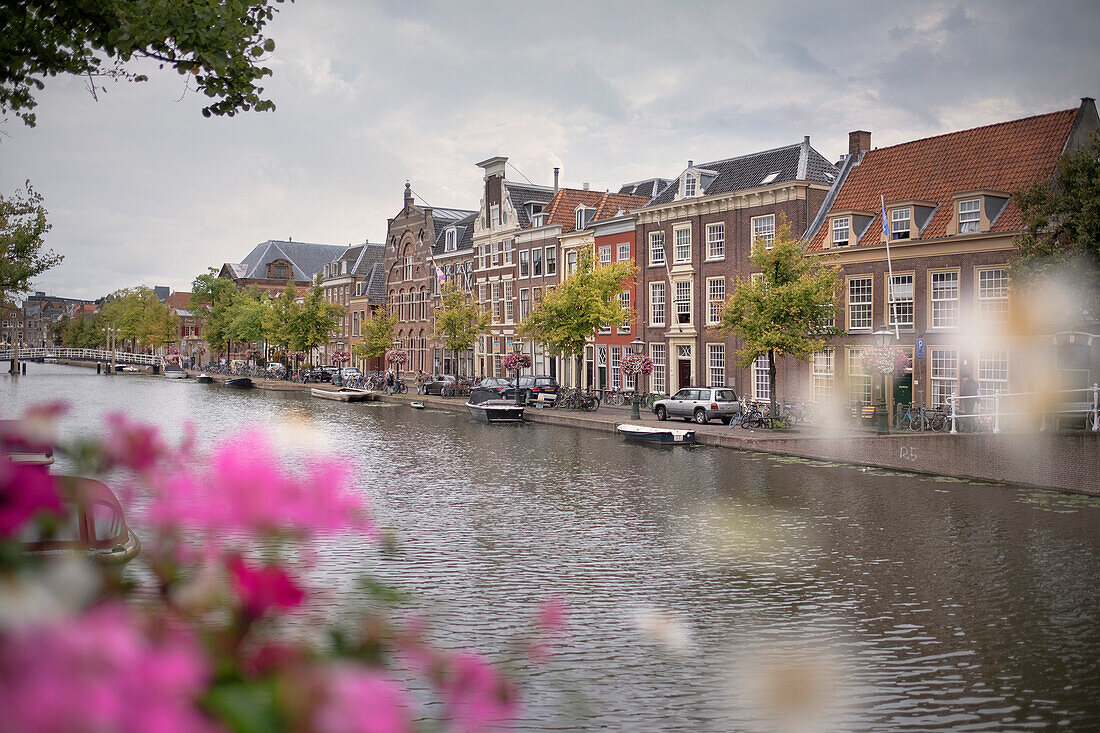 historische Häuser an Gracht von Leiden, Provinz Zuid-Holland, Niederlande, Europa