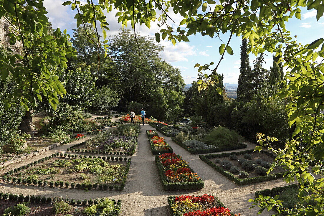 Kräutergarten, Lagarde-Adhémar, Drôme, Auvergne-Rhône-Alpes, Frankreich