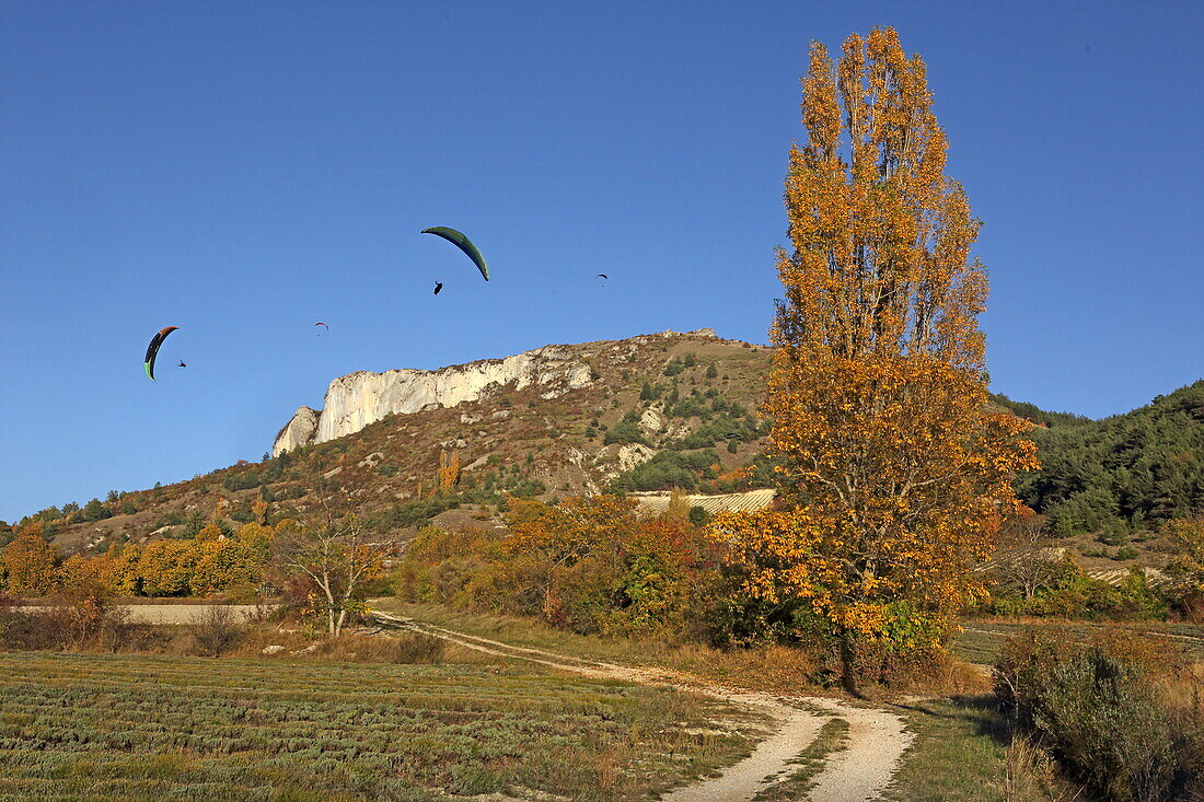 Autumn in Les Baronnies, near Serres, Drôme, Auvergne-Rhône-Alpes, France