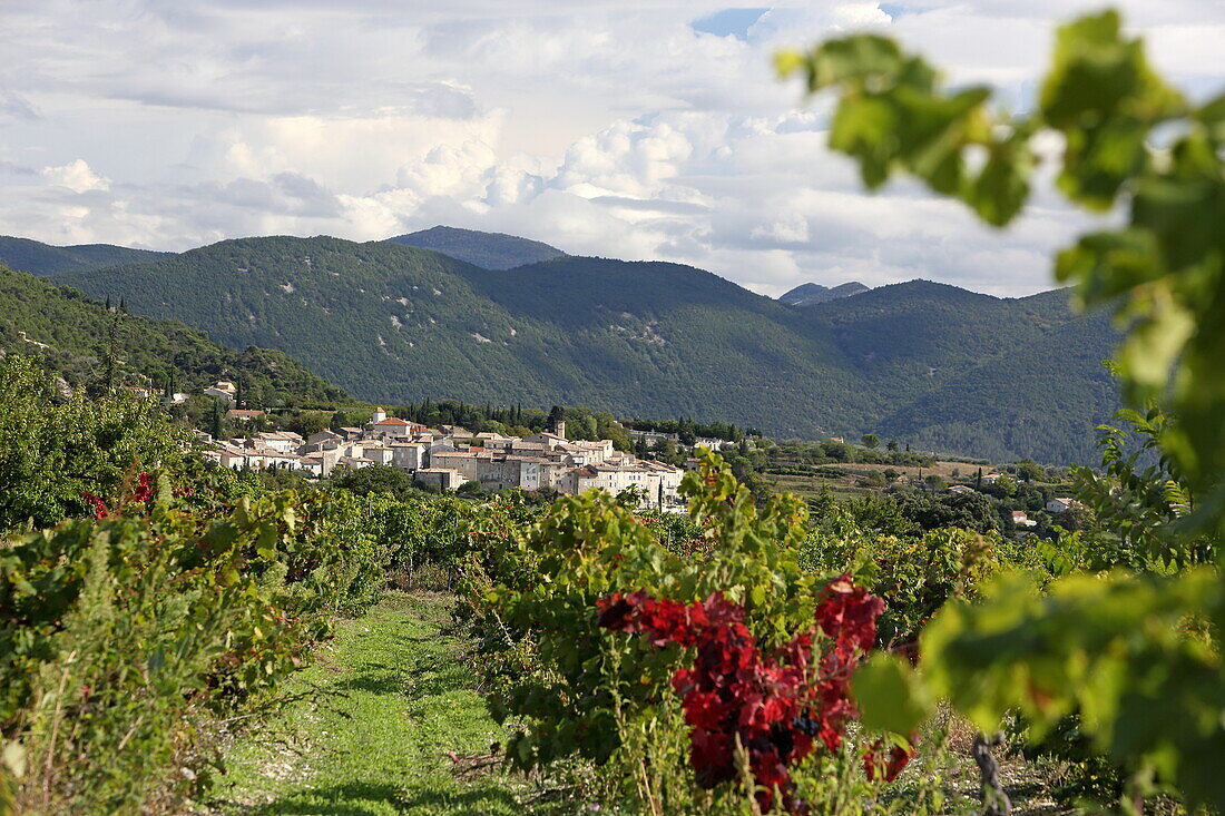 Wine village of Venterol, Alpes-de-Haute-Provence, Provence-Alpes-Côte d'Azur, France
