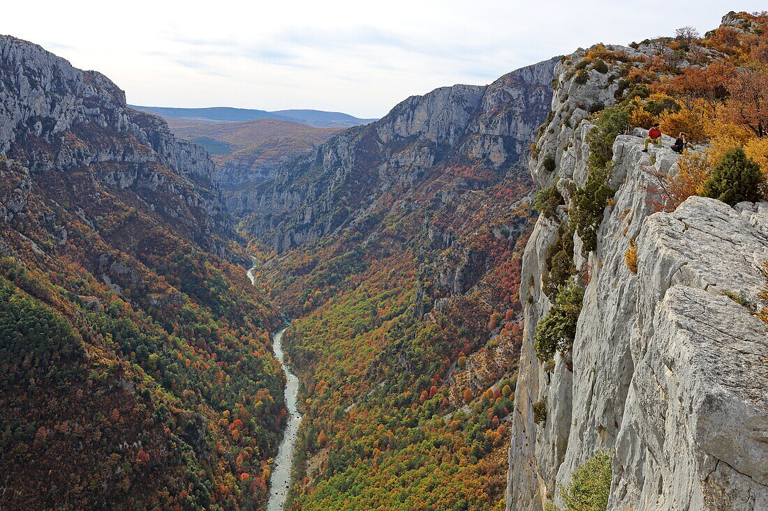 Belvedere de la Carelle, Blick in die Verdonschlucht Grand Canyon du Verdon, Alpes-de-Haute-Provence, Provence-Alpes-Côte d'Azur, Frankreich