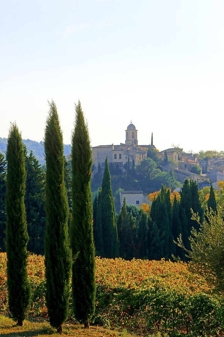 Herbstliche Weinfelder bei Mormoiron, Vaucluse, Provence-Alpes-Côte d'Azur, Frankreich