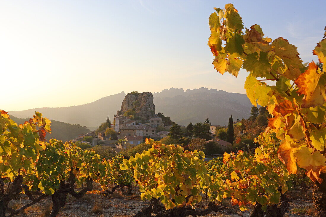 La Roque-Alric and the Dentelles de Montmirail, Vaucluse, Provence-Alpes-Coze d'Azur, France