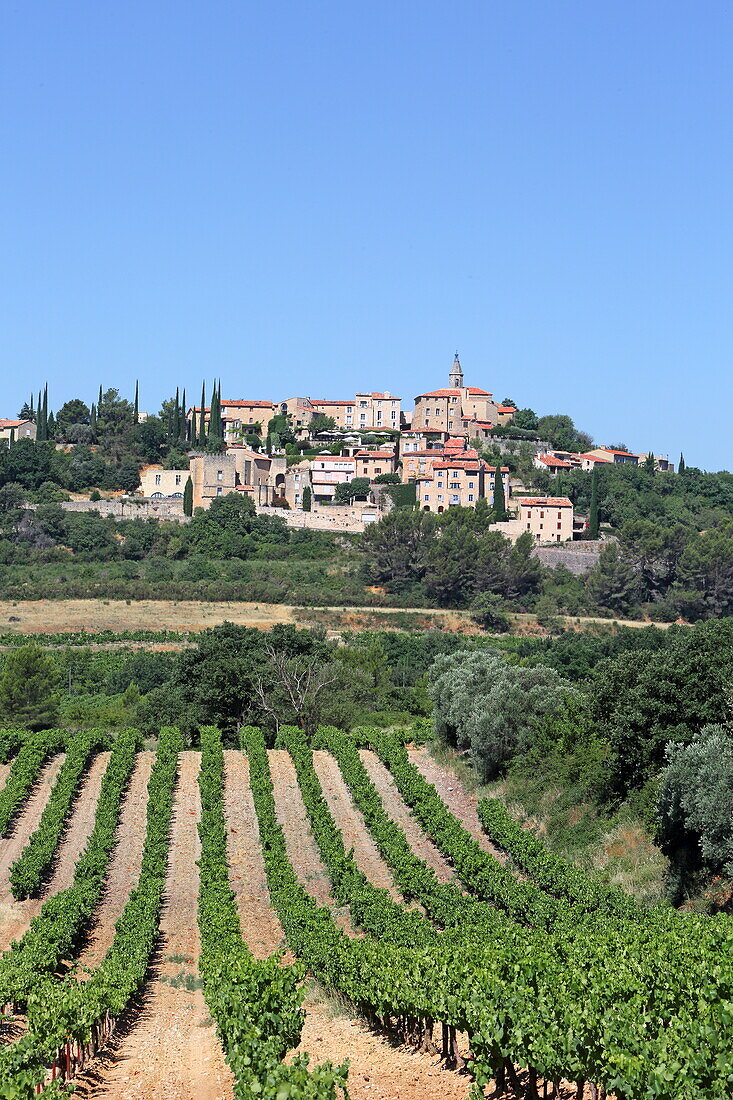 Blick auf Crillon-le-Brave, Vaucluse, Provence-Alpes-Côte d'Azur, Frankreich