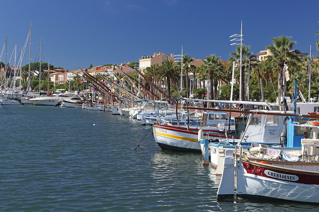 Port in Bandol, Var, Provence-Alpes-Côte d'Azur, France