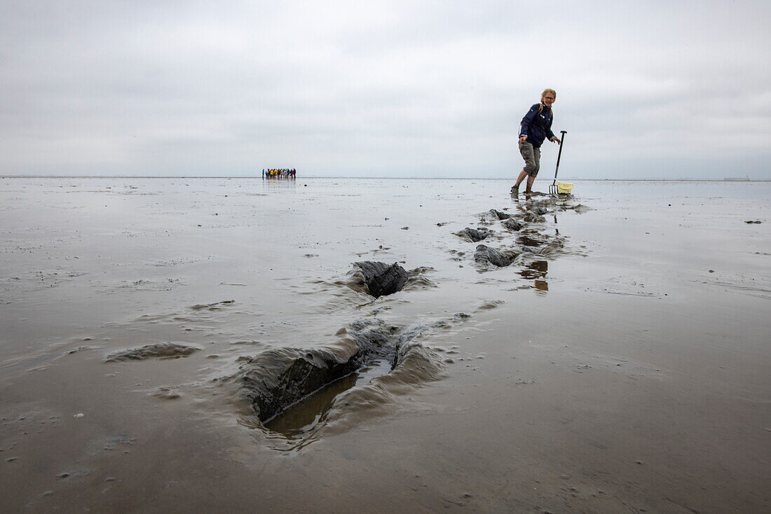 Friendly guide Insa Steffens during a mudflat hike in the Wadden Sea, Krummhoern Upleward, Lower Saxony, Germany, Europe