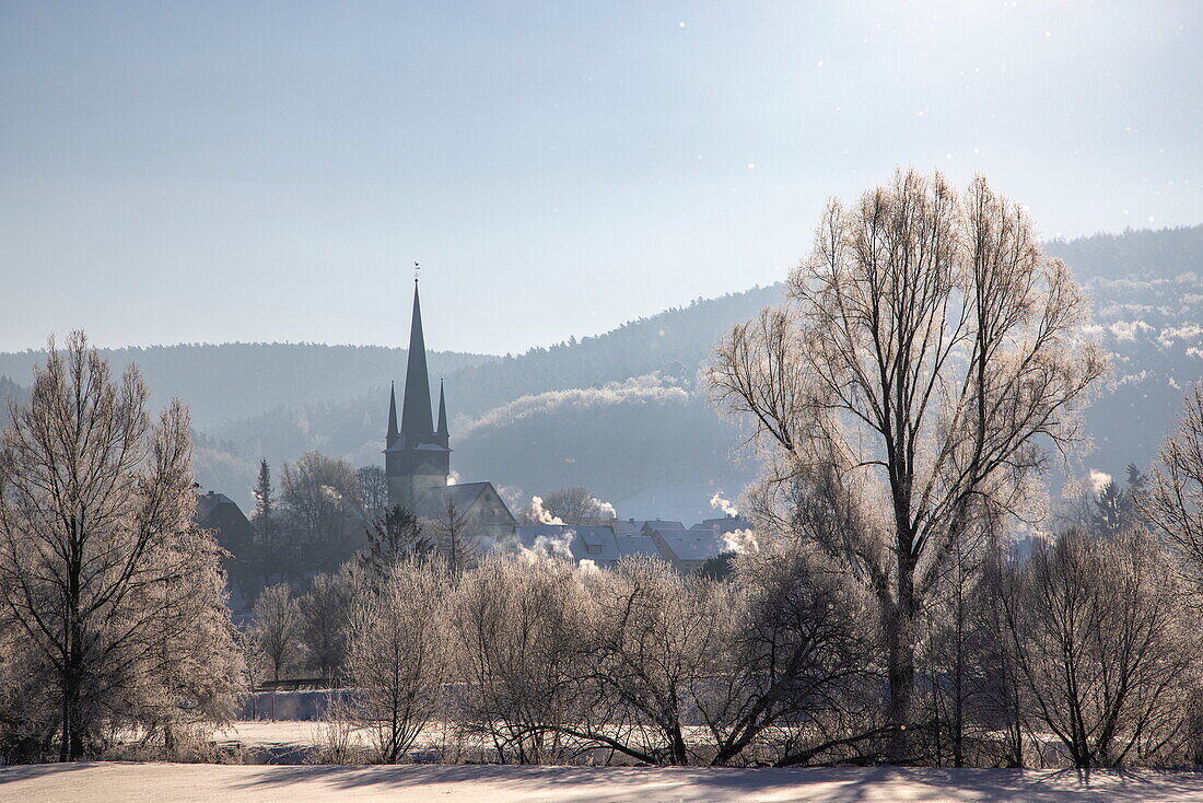 Bäume und Turm der Evangelischen Kirche Neukirchen an einem frostigen Morgen, Haunetal Neukirchen, Rhön, Hessen, Deutschland, Europa