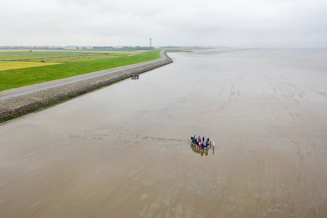 Luftaufnahme von Menschen bei einer Wattwanderung im Wattenmeer, Krummhörn Upleward, Niedersachsen, Deutschland, Europa