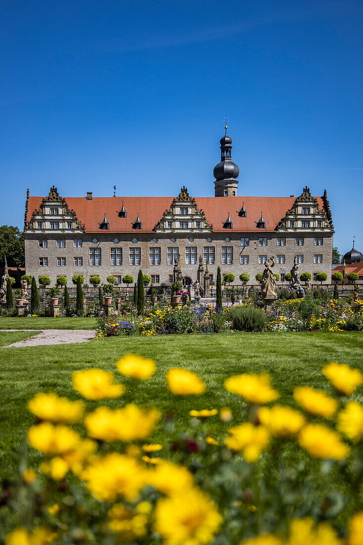 Schloss Weikersheim gesehen durch Blumen, Weikersheim, Franken, Baden-Württemberg, Deutschland, Europa